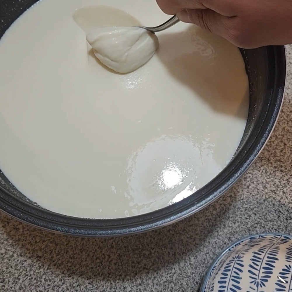 Fermentador Yogurt Ikai 4 litros