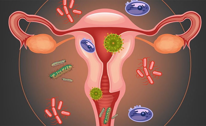 Que es la microbiota vaginal? – Yogustart